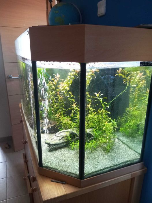 aquários de água doce e salgada de diferentes tamanhos