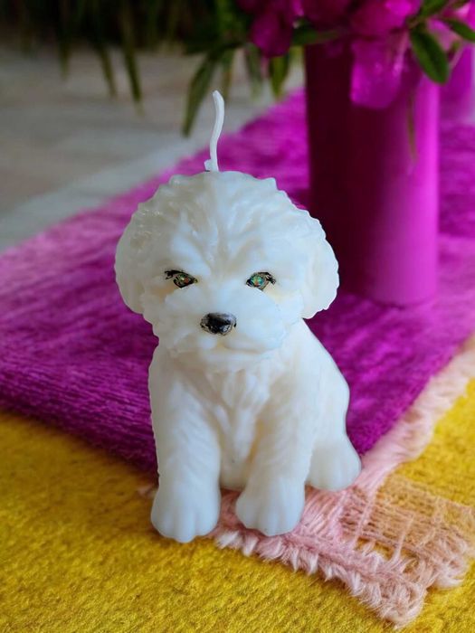 Świeczka sojowa wolnostojąca pies maltańczyk bolończyk