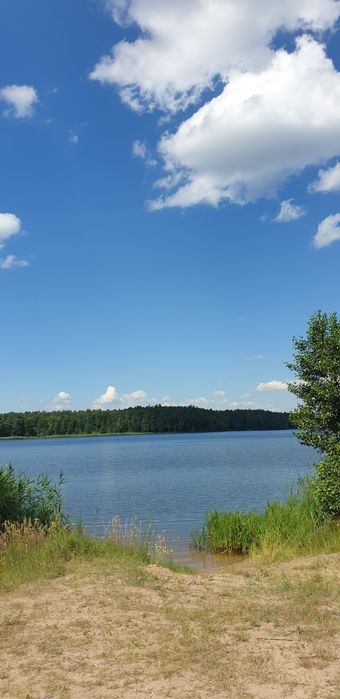 Шикарна пропозиція для релаксу! Ділянка 6 сот. СТ Міжріччя-Тетерівка
