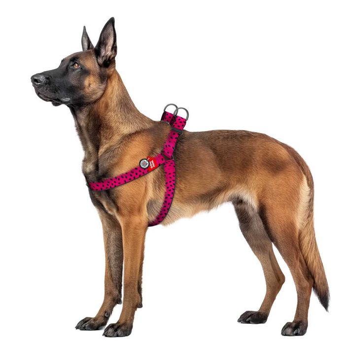 NOVO - Peitoral para Cão STEP-IN em Nylon da WAUDOG