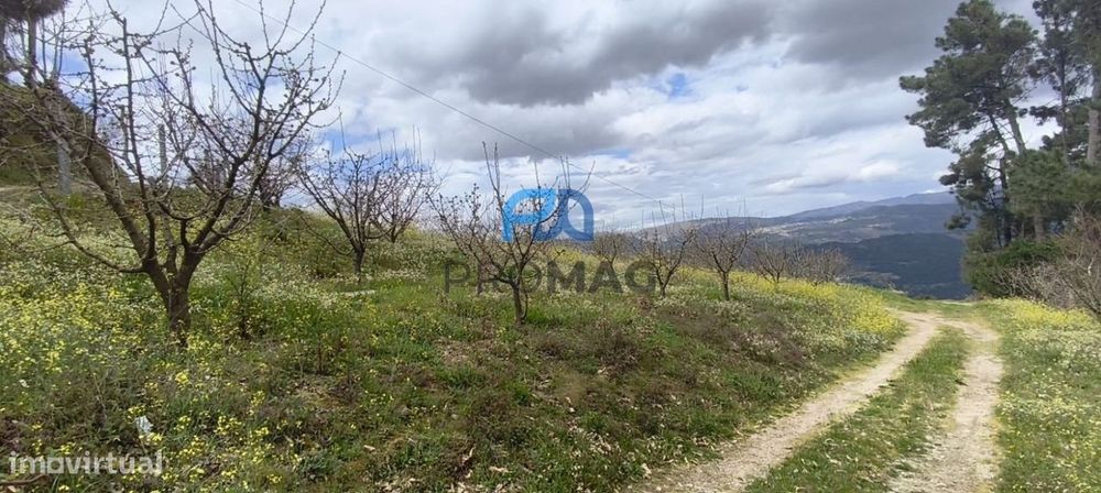 Terreno Urbanizável de 7959 m² com Armazém
