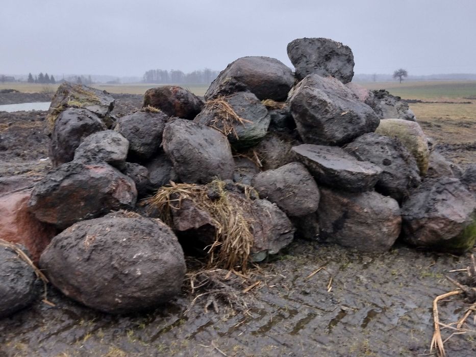Sprzedam Głazy około 50 Ton