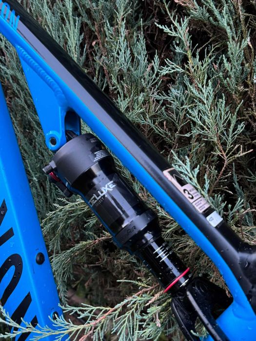 Rower Canyon Neuron Al5