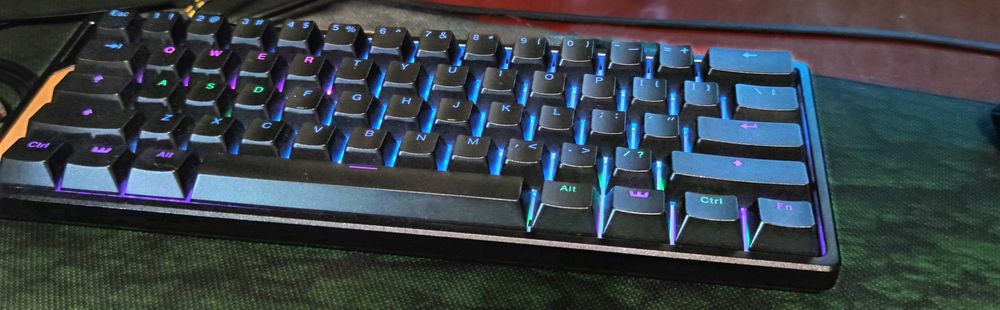 Свитчи Gateron Jade Switch + Wooting 60HE+