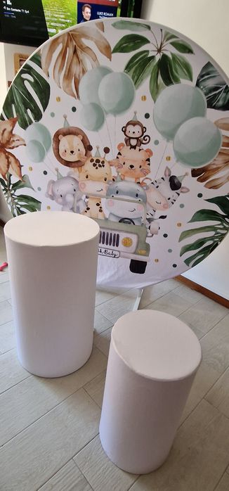 Decoração Safari para alugar