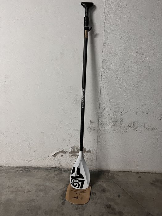 Remo Paddle Sartboard