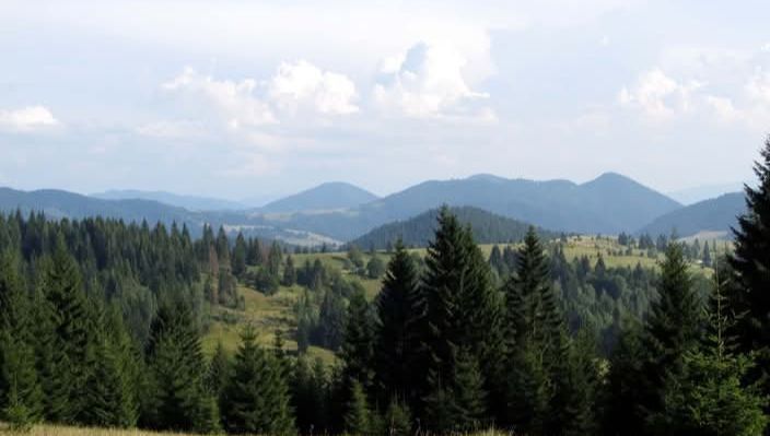 Відпочинок в Карпатах