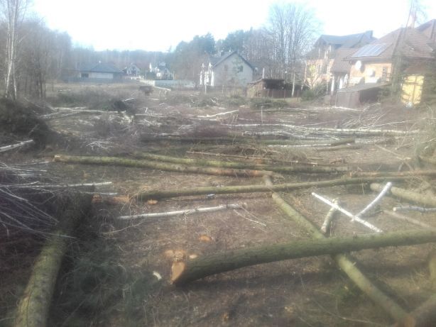 Usługi rębak zrębkowanie gałęzi wycinka drzew czyszczenie działek