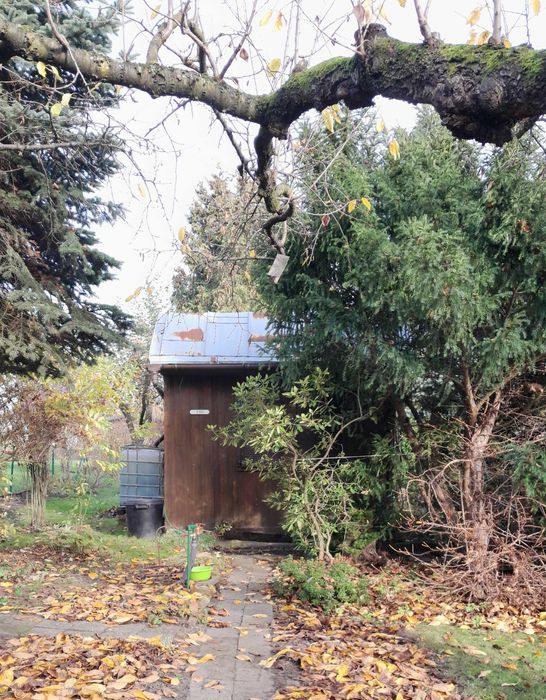 Działkę w ROD Nowe Życie sprzedam