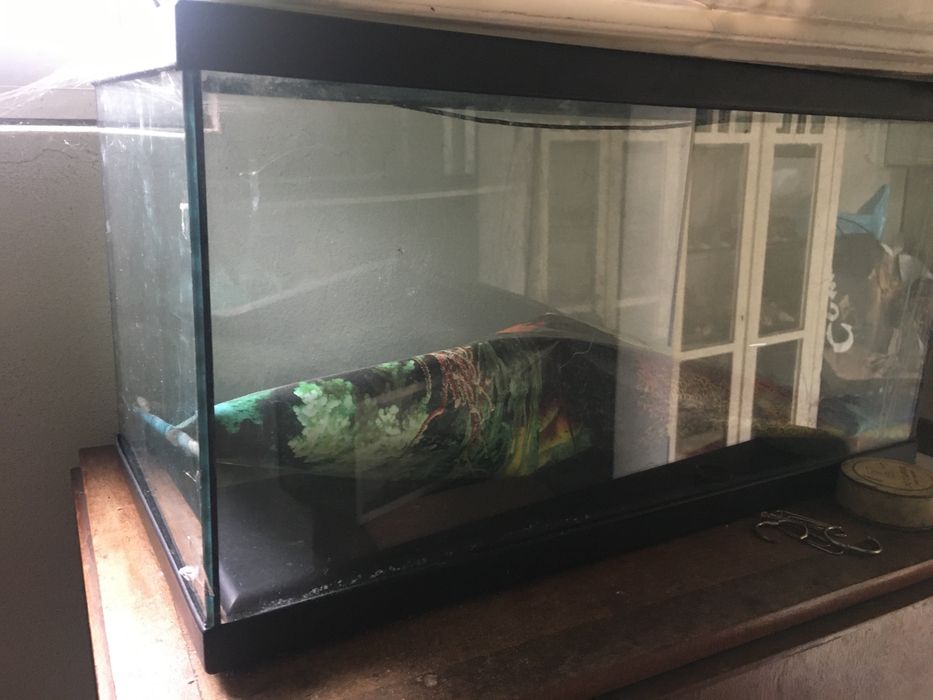 Aquarios pequenos e médios