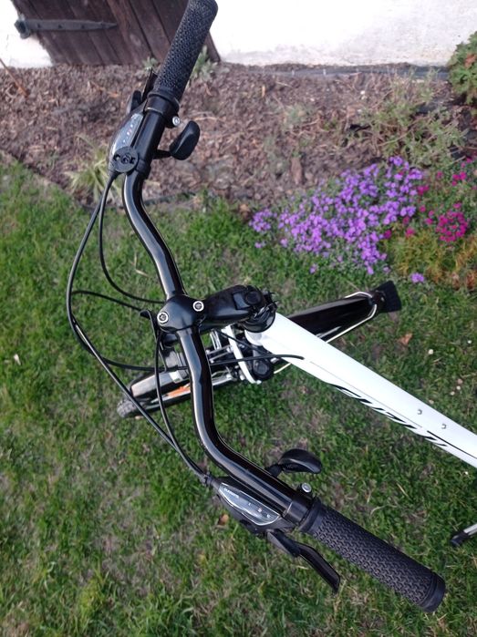 Rower 28 core damski