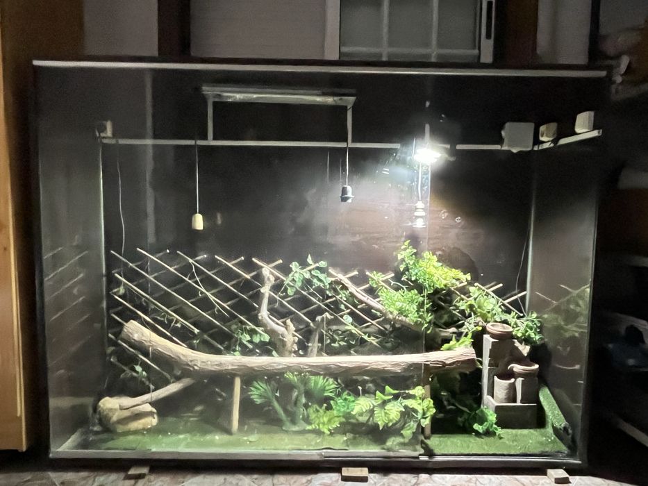 Terrario Grande +extras