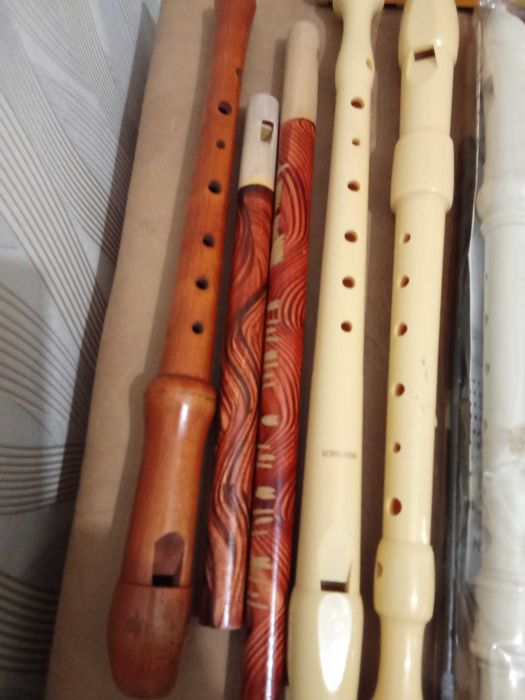 Сопілочки Hohner та інші