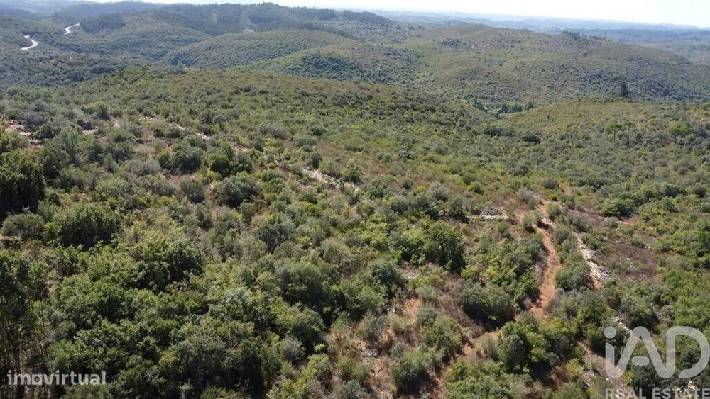 Terreno em Freixianda, Ribeira do Fárrio e Formigais de 15939,00 m2
