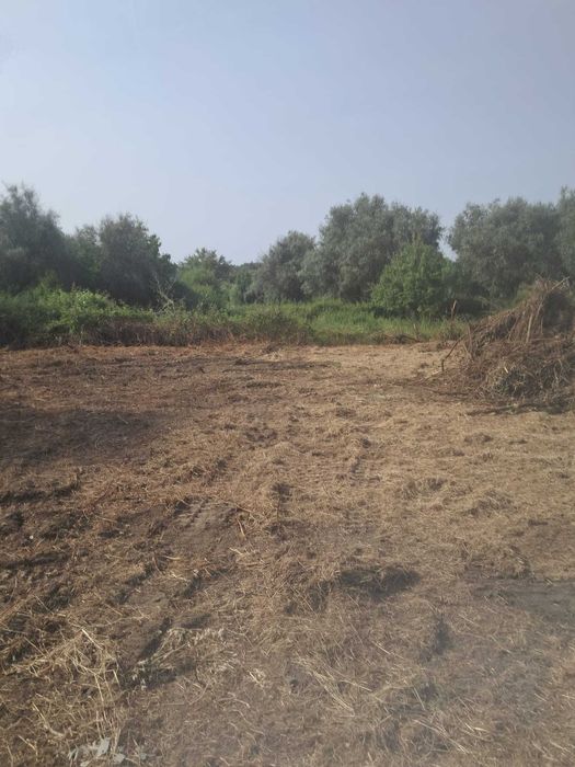 Vende-se terreno/quinta no alentejo a oito km do Crato