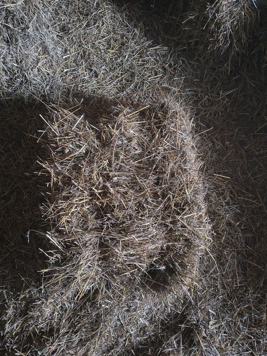 Sprzedam słome w kostkach