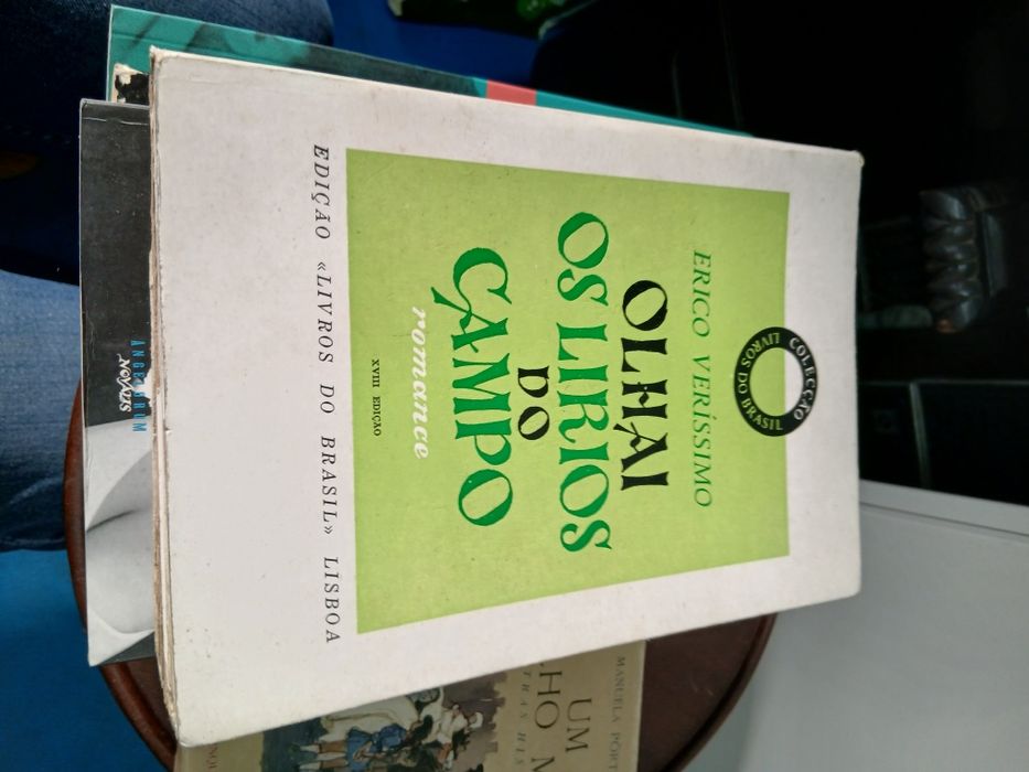 Erico Verissimo, Olhai os Lirios do Campo