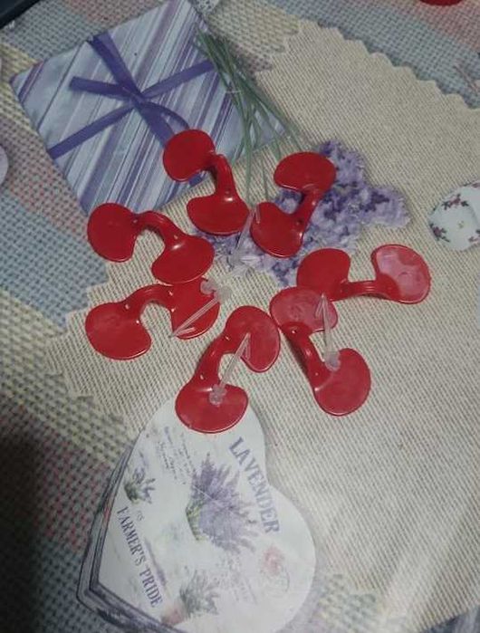 Очки Окуляри (Шори) та Кільця маркувальні номерні для птиці