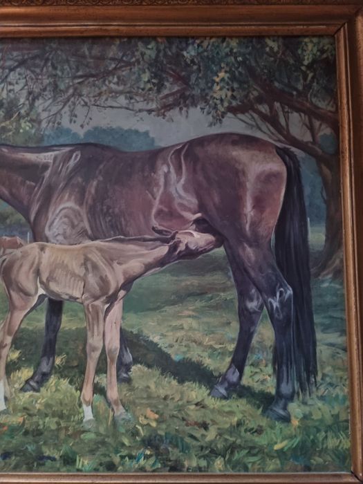 Quadro com pintura64284050672513123