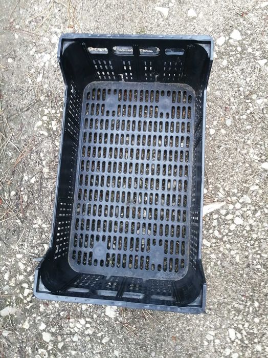 Caixas de plástico para diversas coisas