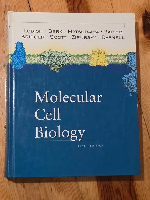 Livros universitários em Português e Inglês