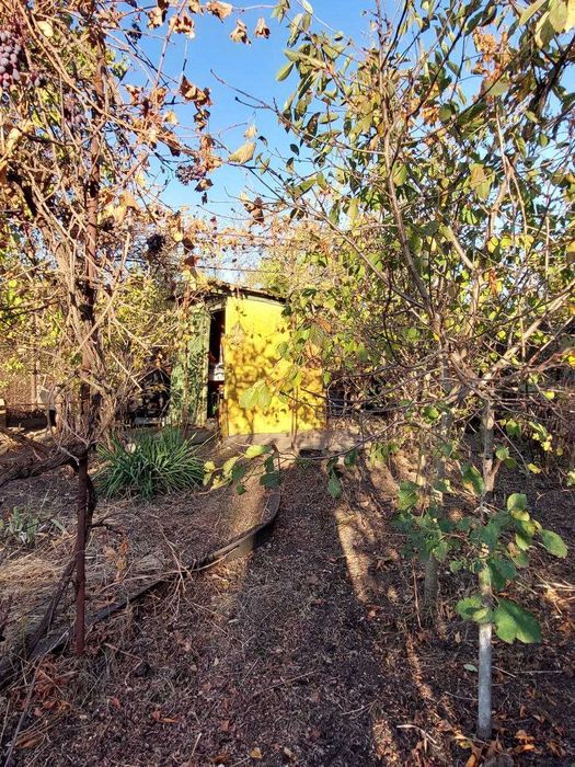 Почти даром. Дачный участок в черте города, р-н Саксаганский