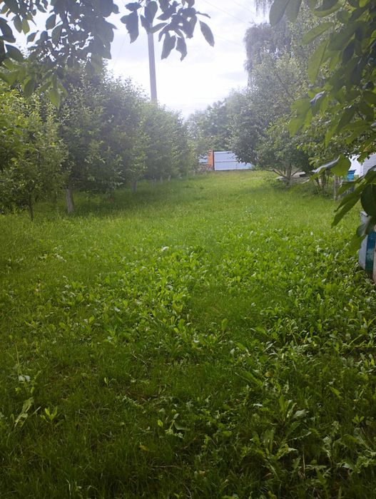 Продаю будинок в смт Рокитне