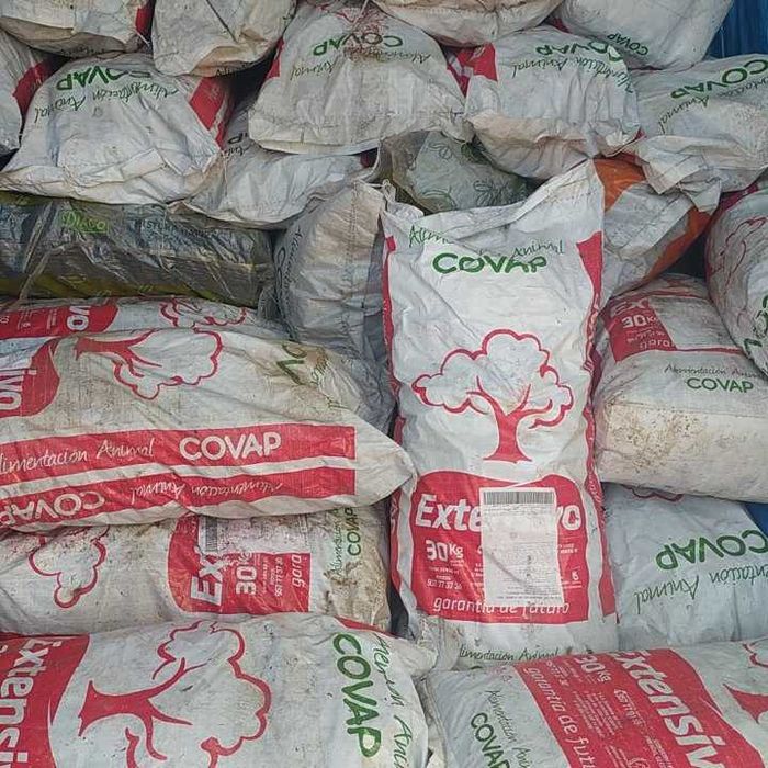 Carvão sacas 12kg
