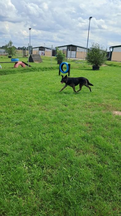 Mona do adopcji!