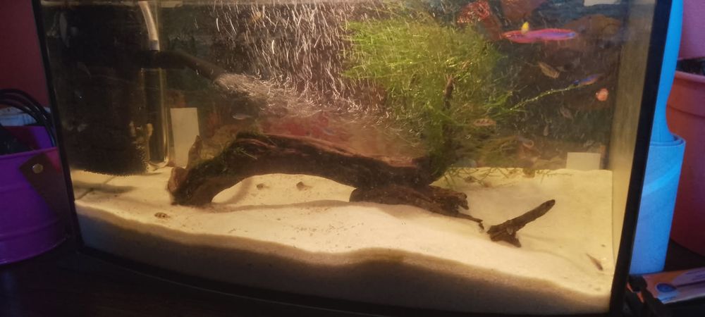 Sprzedam akwarium 60 litrow