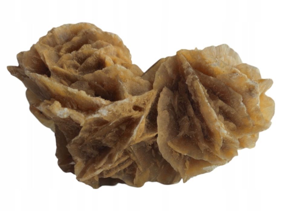 Róża Pustyni Naturalny Kryształ Selenitu Stan Bardzo Dobry