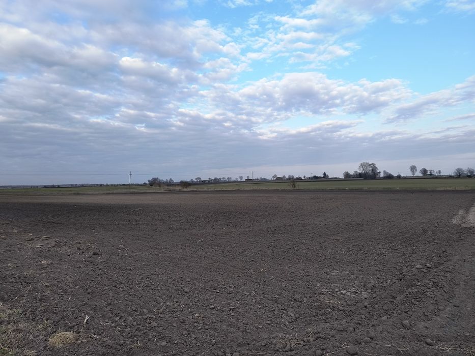 Sprzedam ziemię rolną