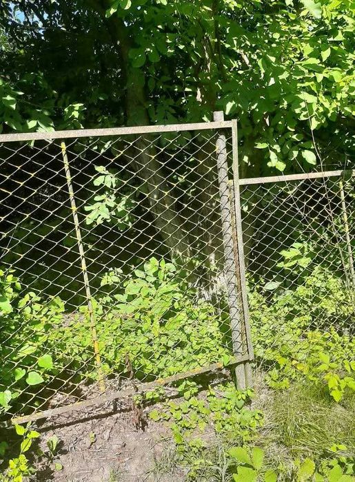 Продам земельну ділянку Слобідка-Кульчієвецька