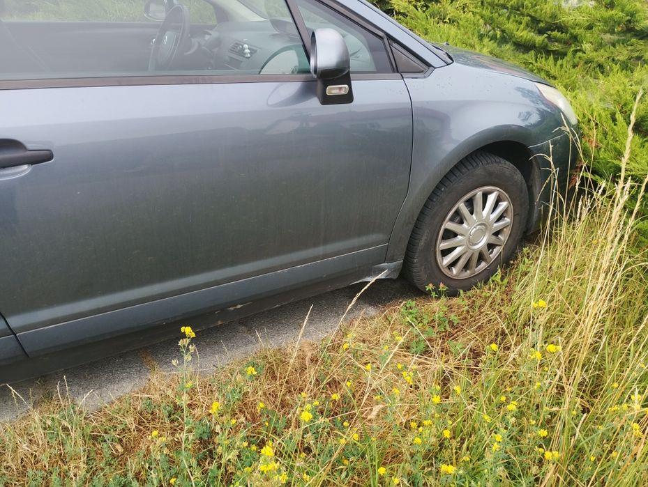 Citroen C4 1.6 HDi sprawny