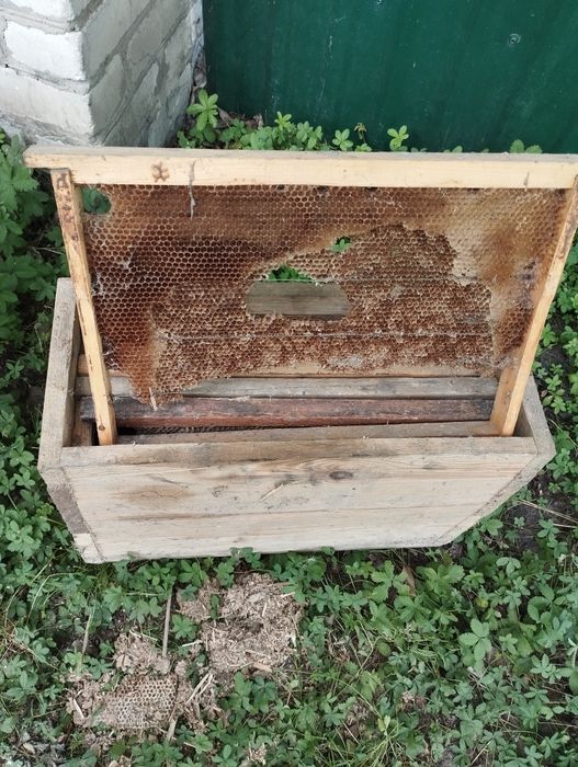 Ящик для перенесення рам, с рамами для вуликів