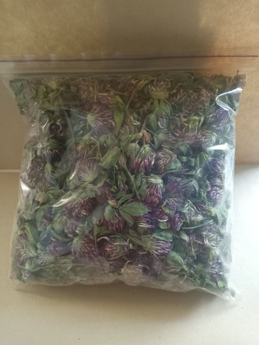 Лікарські трави.