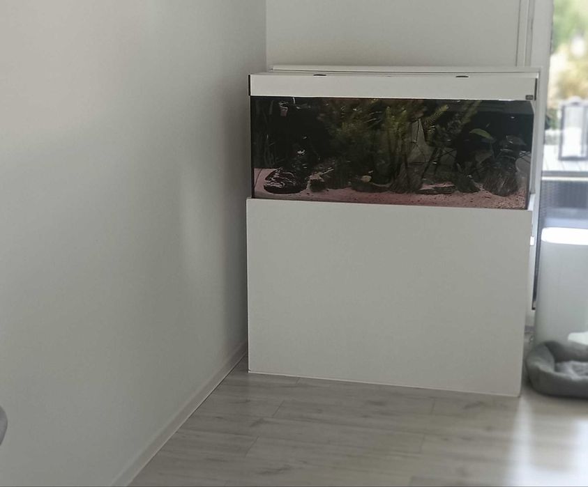 Akwarium z życiem, cały zestaw.