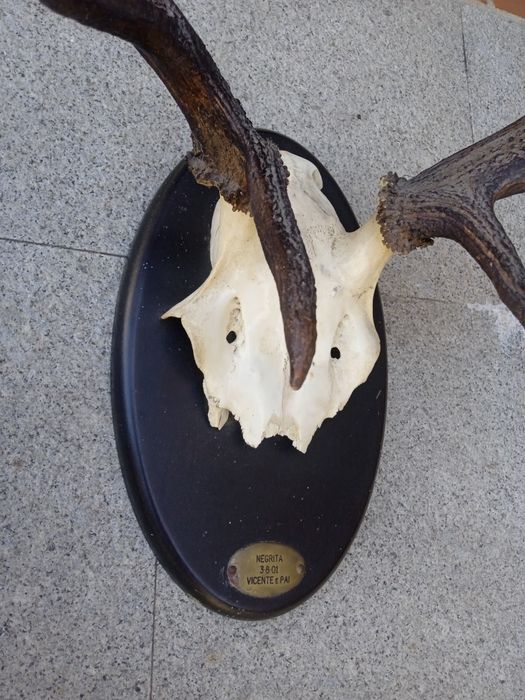 Utilidades e decoração