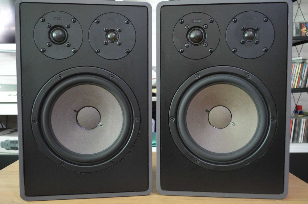 Fenomenalne CANTON FONUM 100 Perfekcyjne Hi-Fi Wysyłka