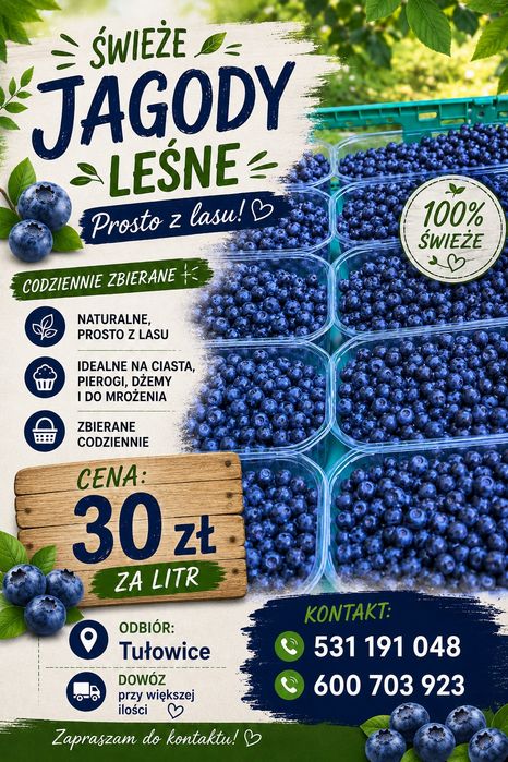 Jagody leśne prosto z lasu