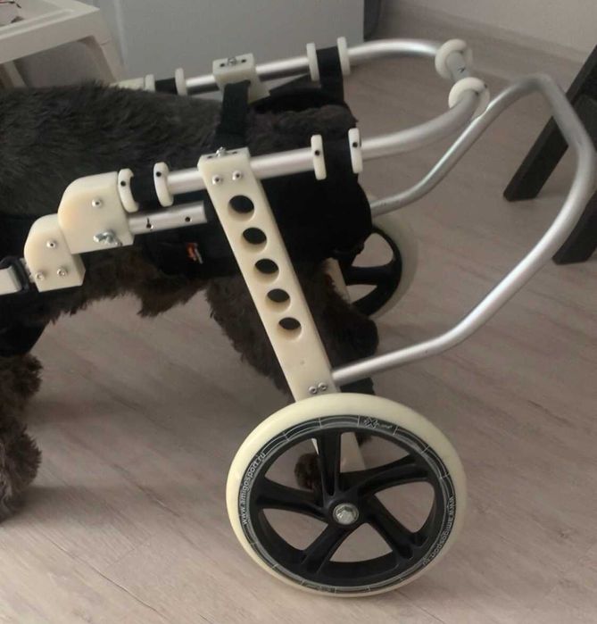 Инвалидная коляска для собак