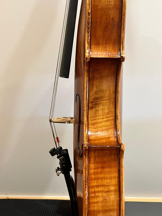 Viola d'Arco ConcertoGrosso
