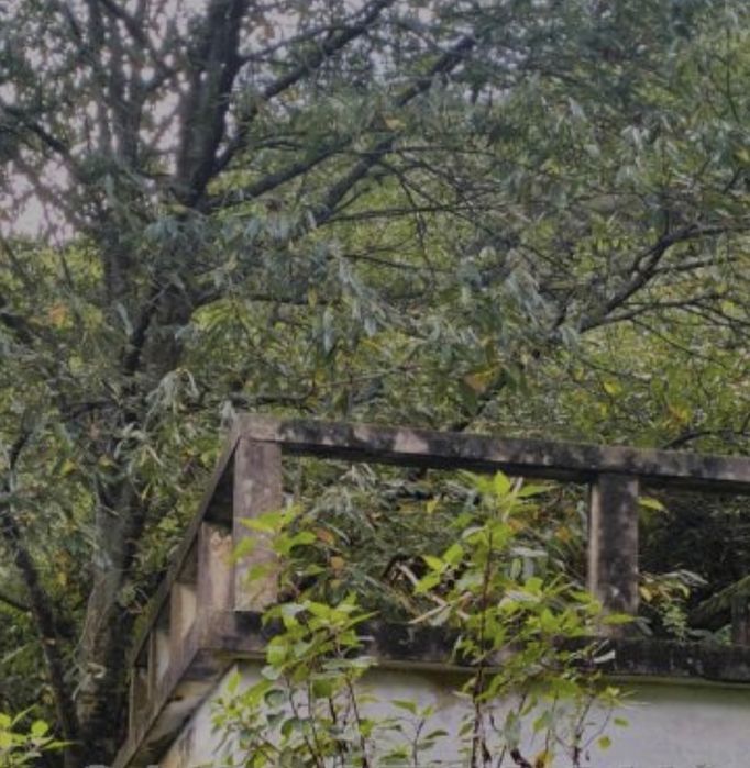 Terreno com edificação praia da Vitória