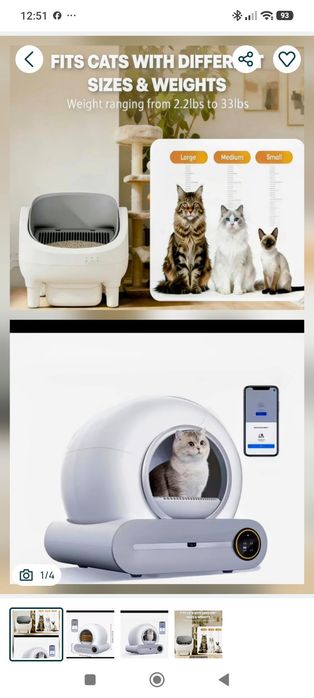 WC automóvel para gato