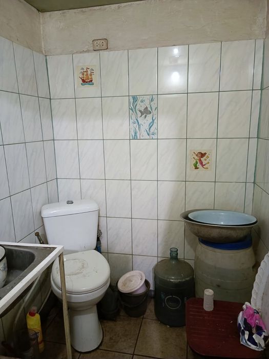 Продажа дома з участком землі 54 сотки