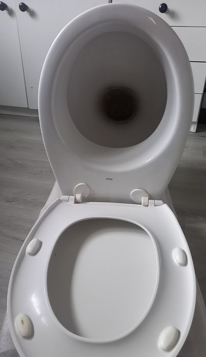 Sedes muszla WC firma koło używany