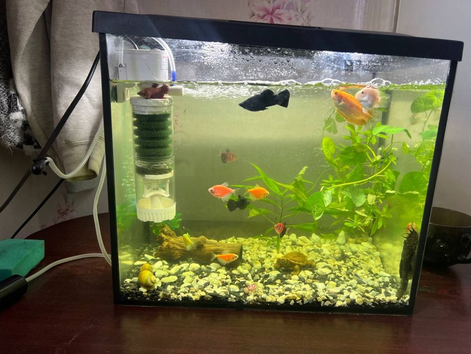 Аквариум на 34 литра