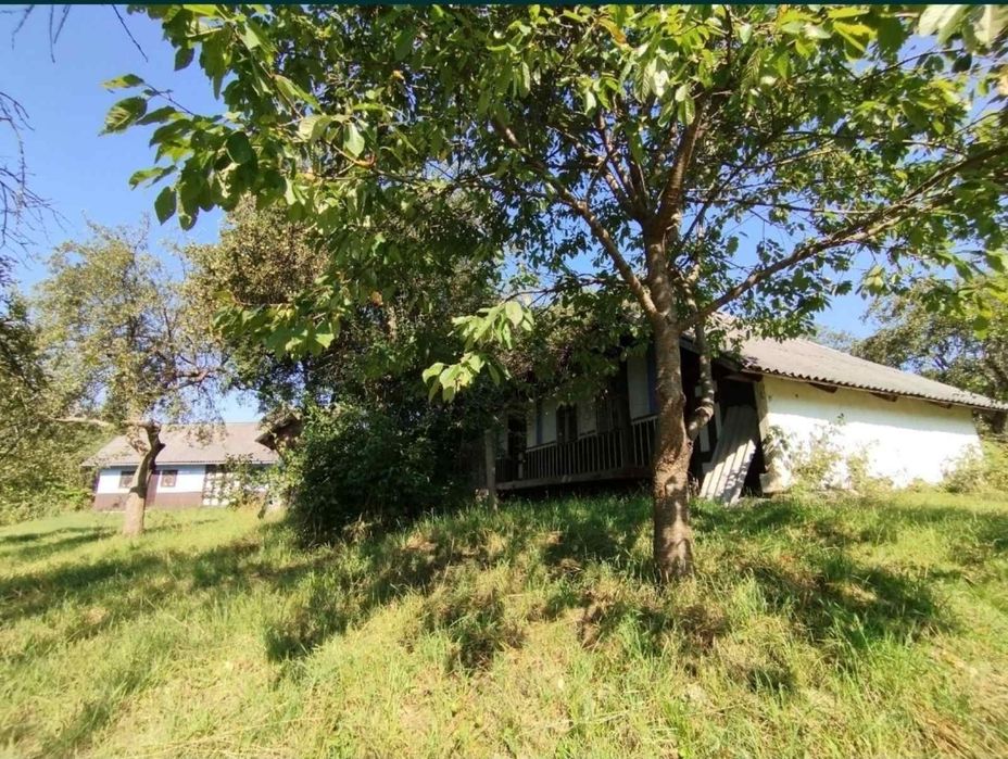 Продаю Землю. Продаж