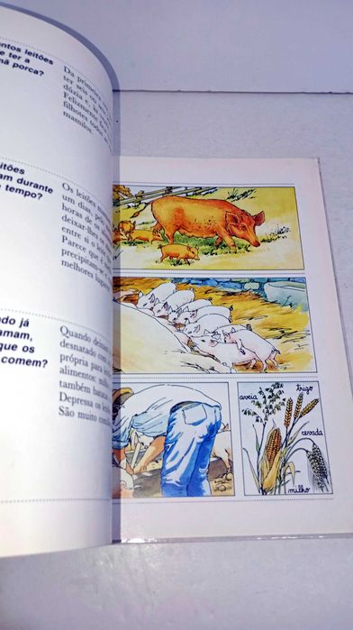 Os Animais da Quinta e dos Campos