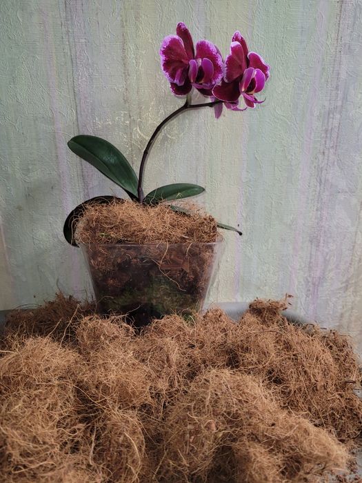 Кора галтована, мох, кокочіпси та інше.